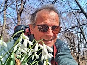 01 Festa di fiori sui sentieri al Monte Zucco - Galanthus nivalis (Bucanevi)